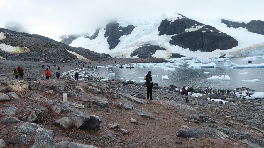 Cuverville Island: Gentoo Rookery & Iceberg Kayak