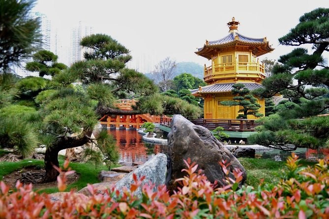 Kowloon Deep Dive: Temples, Markets & Culinary Secrets