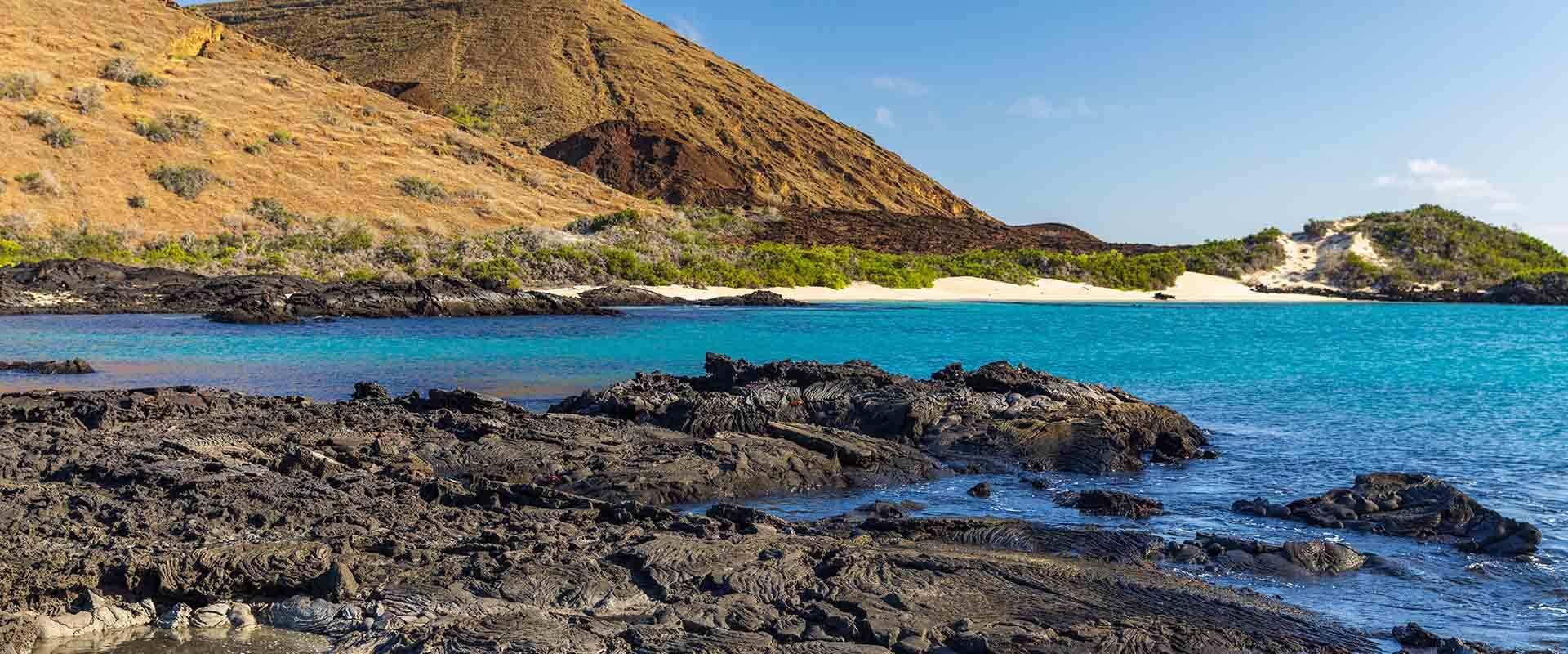 Golden-Hour Photography Walk on Sullivan Bay's Lava Flow