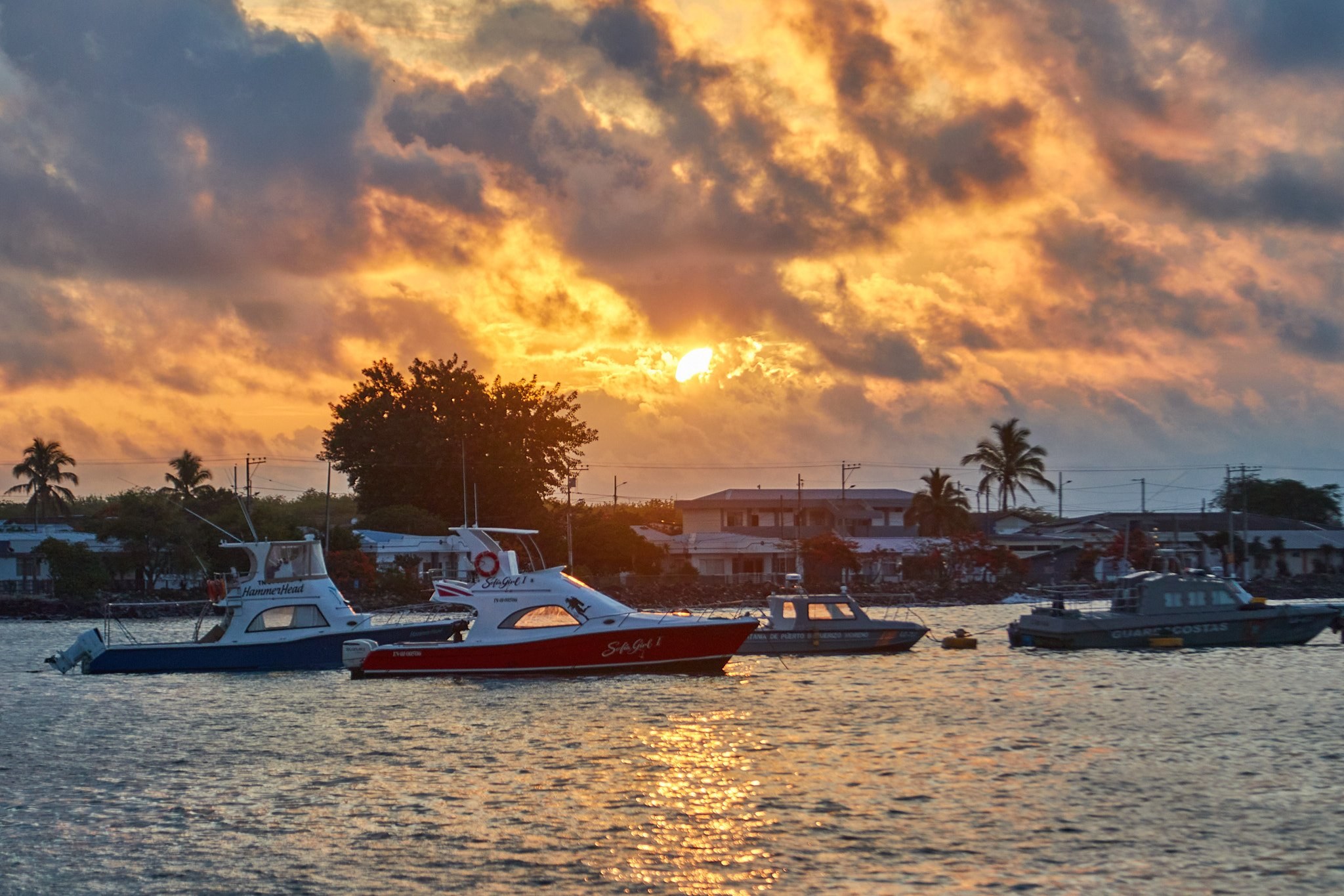 Sunset Sail & Snorkel off Puerto Baquerizo Moreno