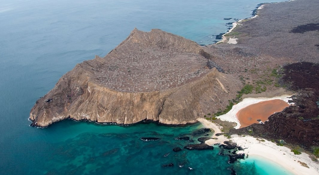 Cerro Brujo Beach & Lagoon at First Light, Guide-Led