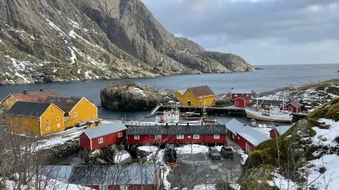 Arctic Waters, Line-Caught: A Fisherman's Afternoon