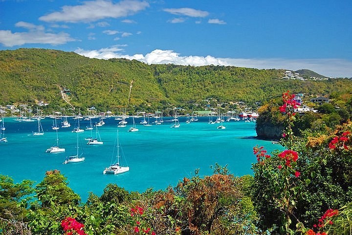 Private Island Safari: Mt. Pleasant, Hope Bay & Spring Bay