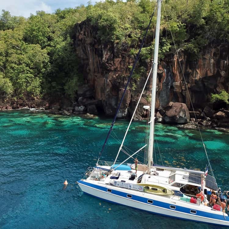 Half-Day Small-Group Catamaran, Turtles & Diving Option