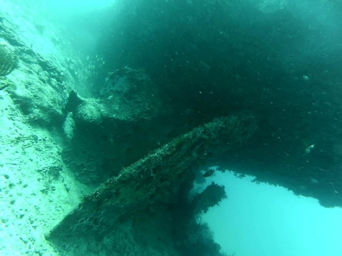 Mopian Reef & Puruni Wreck: Small-Boat Snorkel Away From the Cays