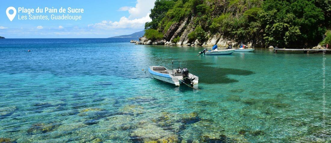 Snorkel the Pain de Sucre Reserve With a Marine Guide