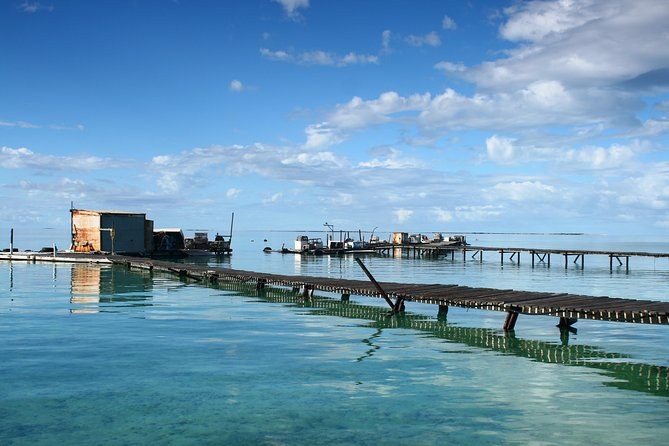 Fly & Flipper: Private Air-Boat Day to the Reef Islands