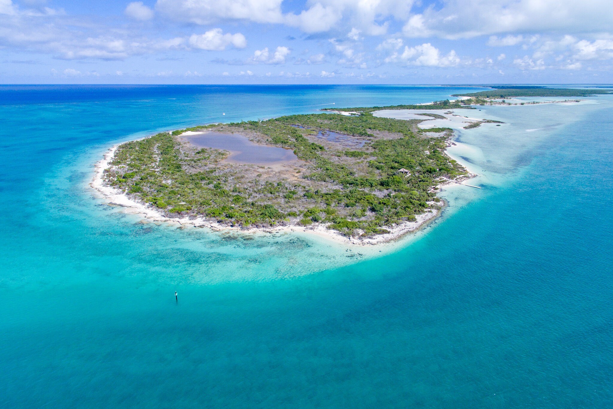 Iguana Island & Reef: Small-Group Sail to Little Water Cay