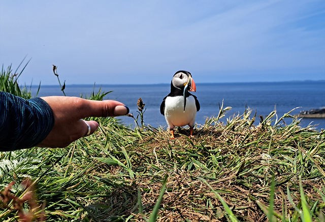 Private Charter: Oban & the Treshnish Isles at Your Own Pace