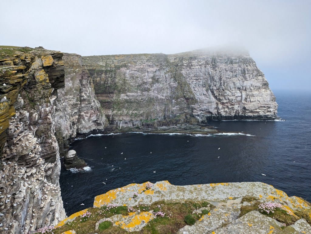 Isle of Noss: Guided Walk with SNH Ranger