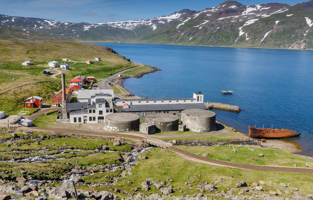 Private Walk to Djúpavík's Hidden Waterfall & Fjord Cliffs