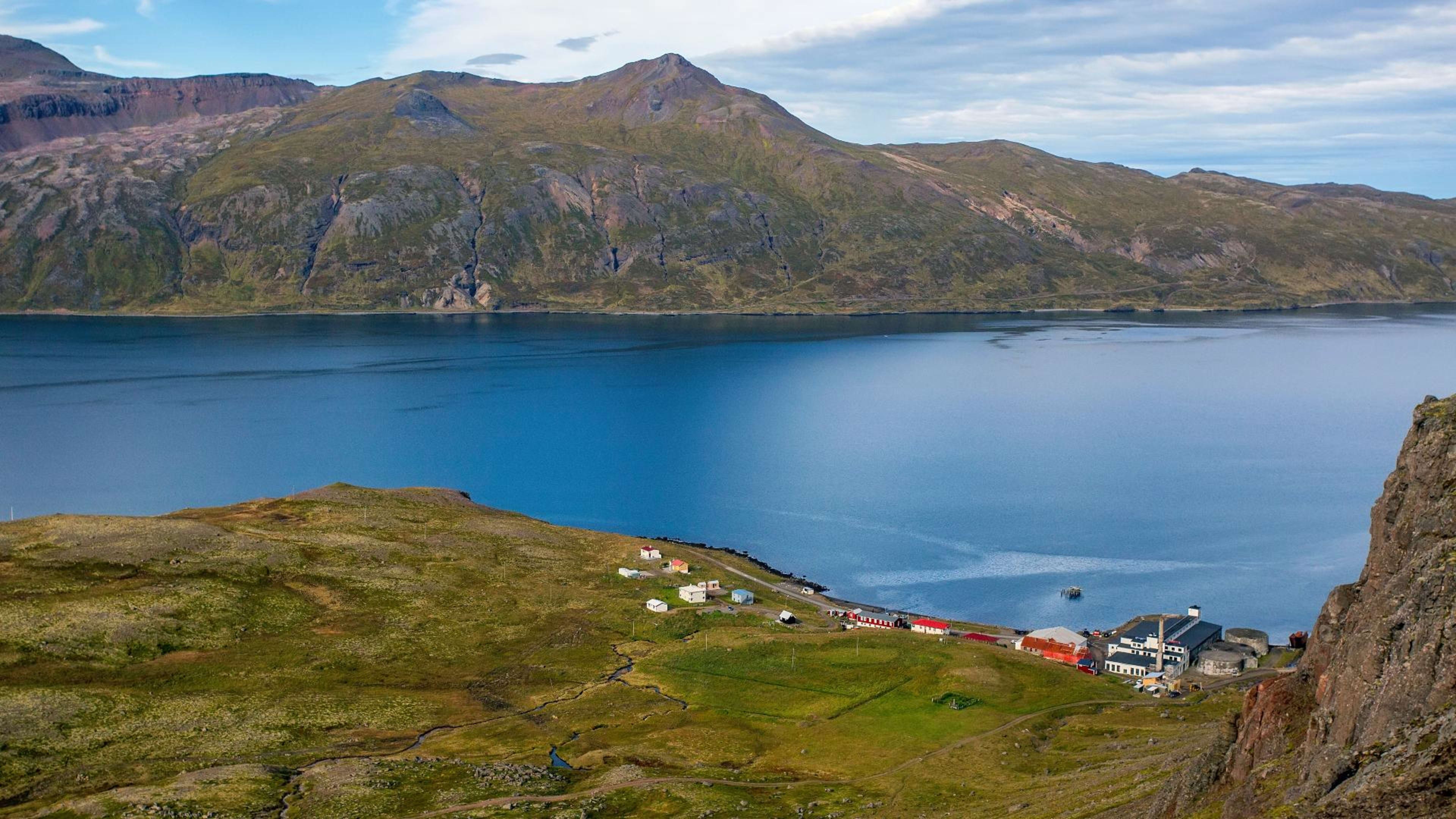 Reykjarfjörður Birdwatching & Coastal Wildlife Walk