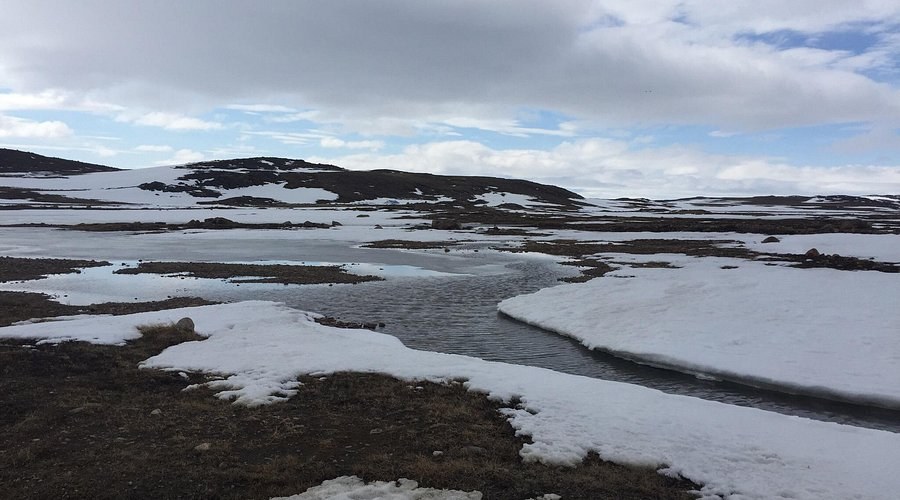 Sylvia Grinnell Territorial Park: Tundra Walk & Falls