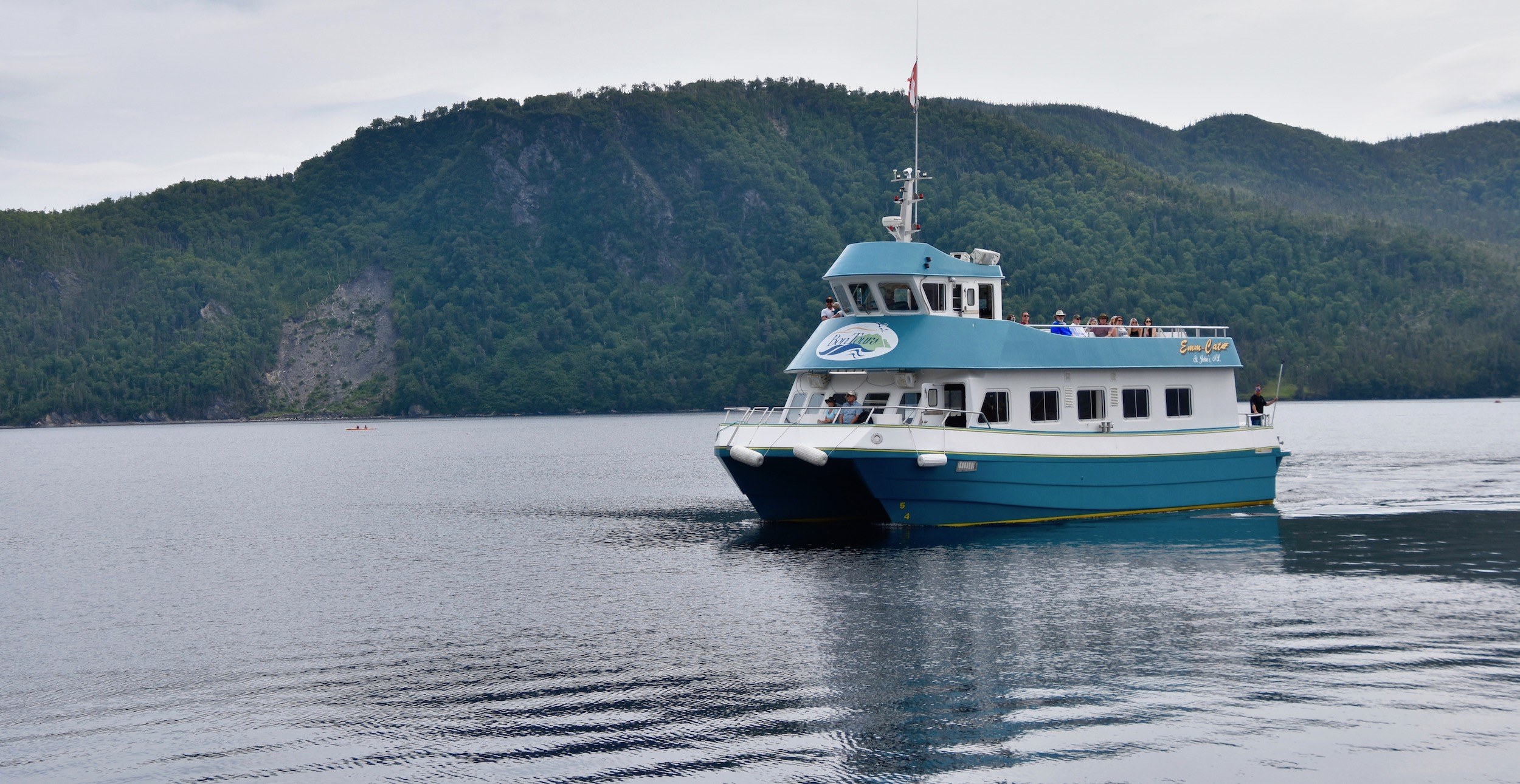 Bonne Bay Fjord Boat Tour from Woody Point Wharf