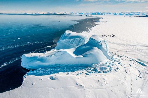 Bird Cliffs & Floe Edge Wildlife Watch by Boat