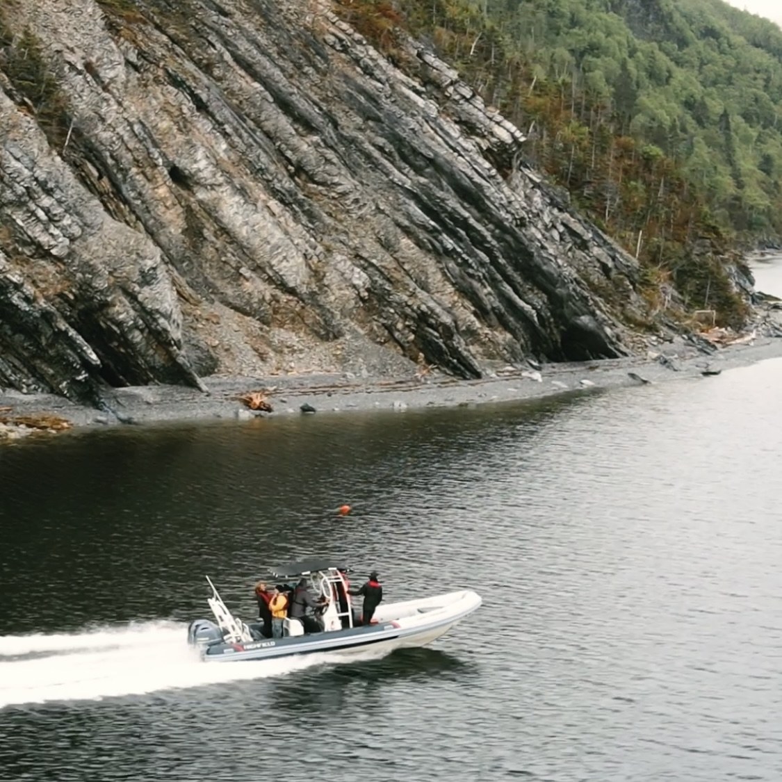 Private Zodiac Wildlife & Coastal Tour