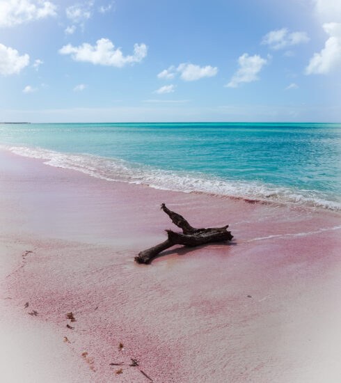 Barbuda's Pink Sand Beach at Dawn, Private & Empty