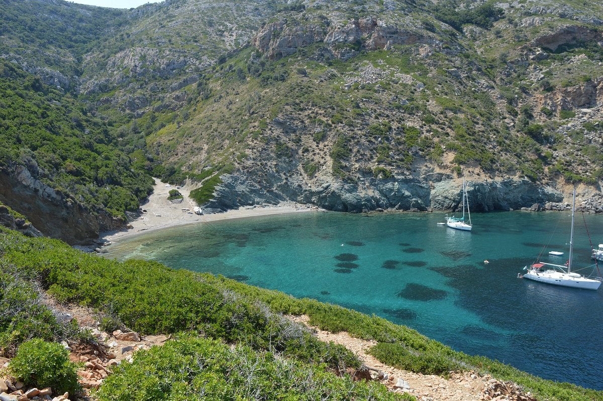 Alonissos Marine Park Wildlife & Snorkel Day Trip