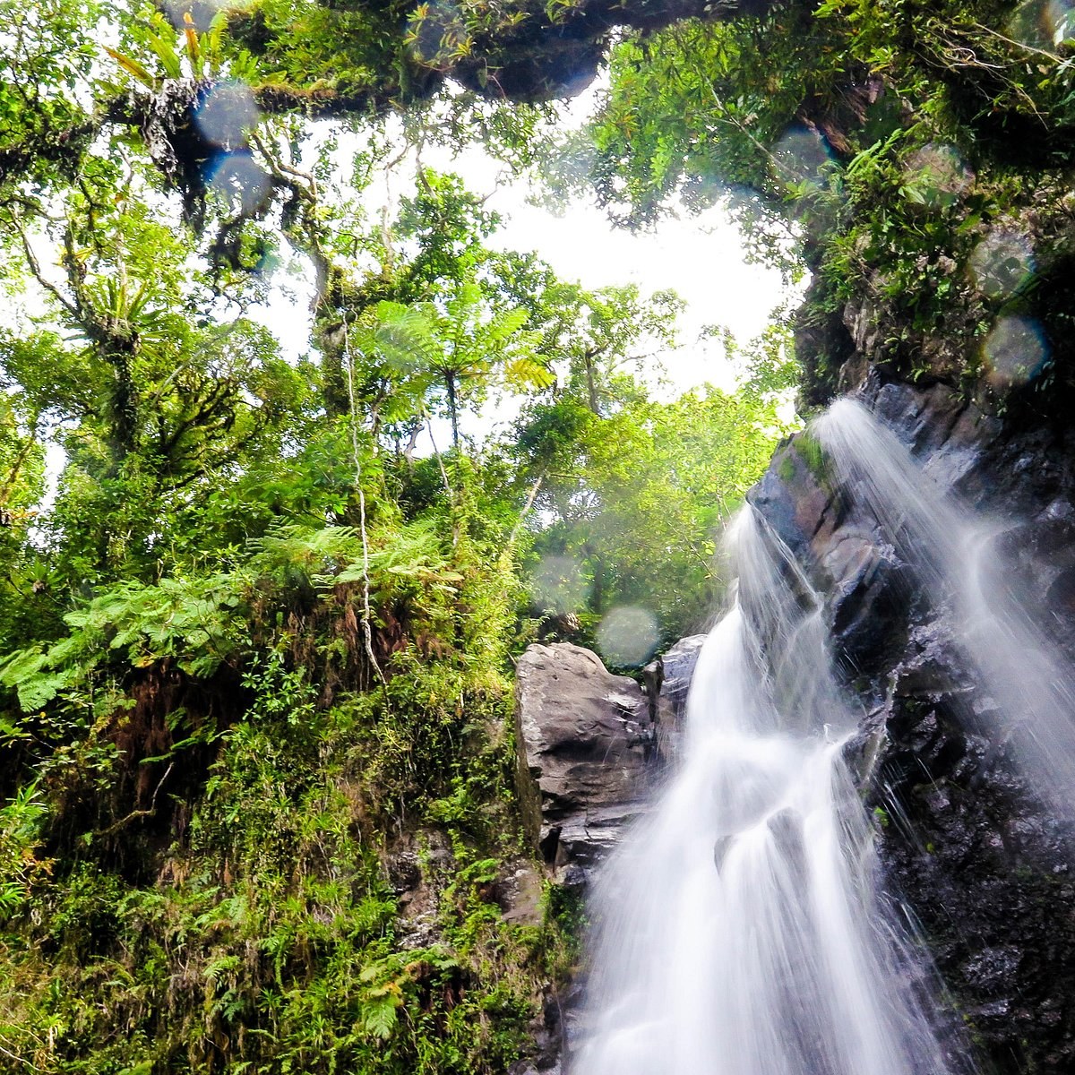 Bouma Heritage Park: Tavoro Waterfalls at First Light