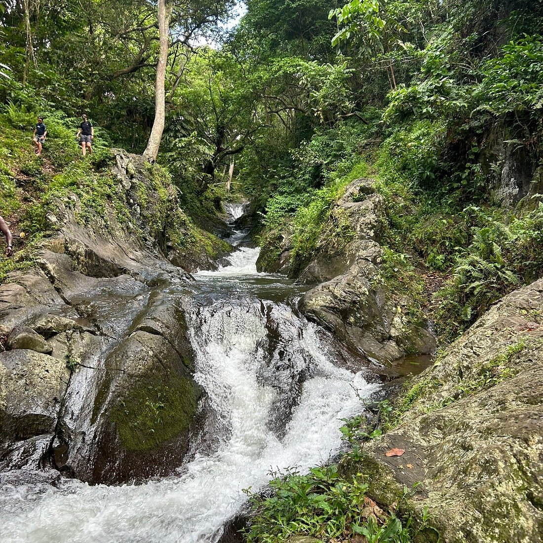 Waitavala Natural Waterslide, Guided by a Local