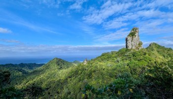 Cross Island Trek: Rainforest Peaks to the Needle