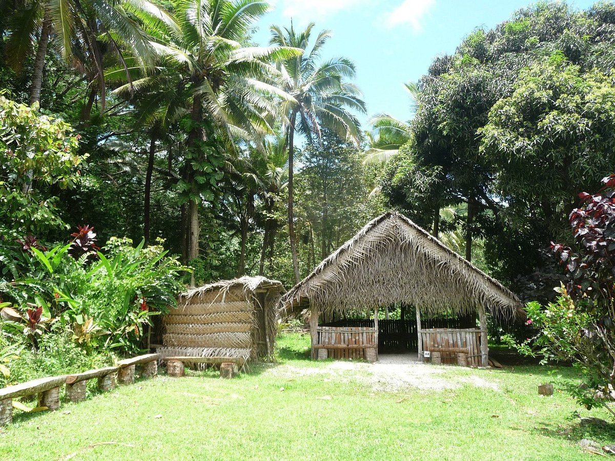 Highland Paradise: Chief's-Eye View & Traditional Feast