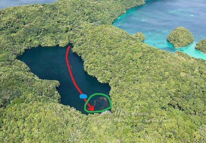 Jellyfish Lake & Rock Islands by Private Boat