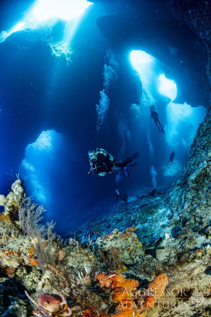 German Channel & Blue Corner: World-Class Reef Dive