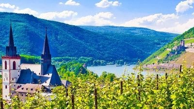 Rhine Valley Castle Cruise: Legendary Gorge by Private Charter
