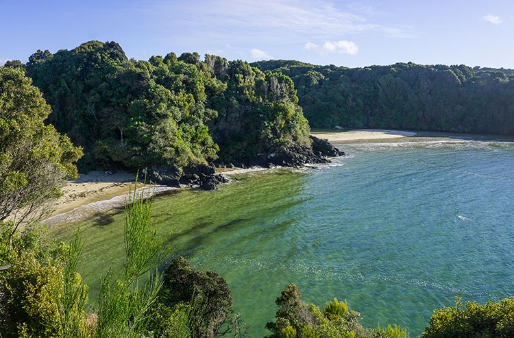 Bathing Beach at Golden Hour, a Local's Swim Spot