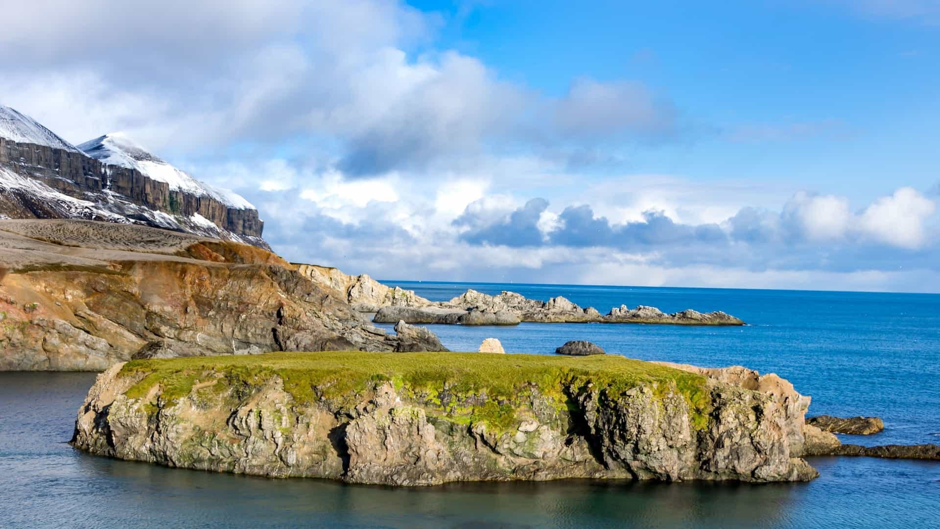Zodiac Wildlife Cruise Beneath the Bird Cliffs