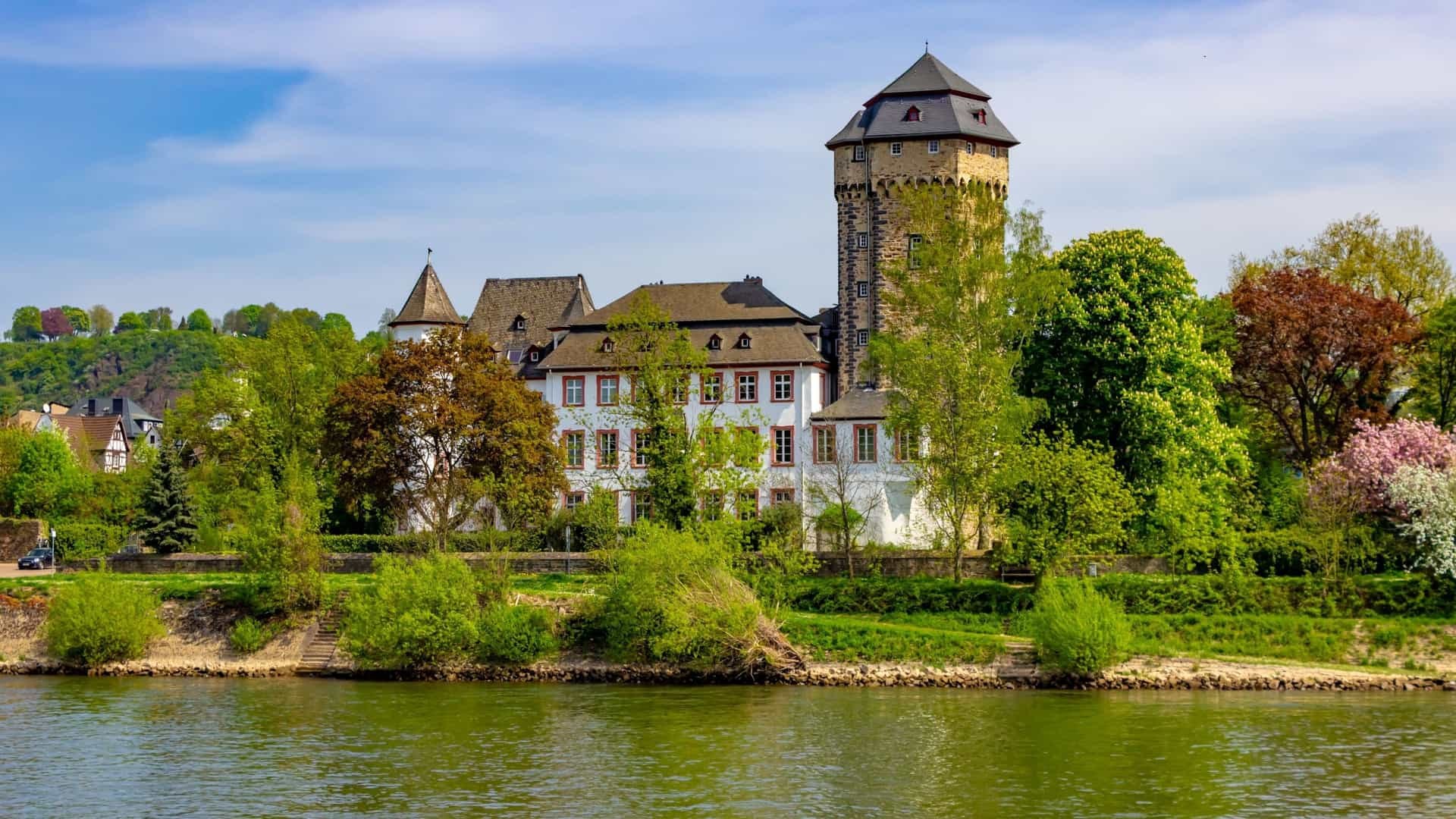 Oberlahnstein Old Town & Rhine Wine Tasting: A Connoisseur's Walk