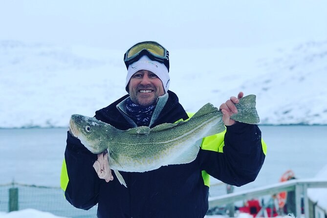 Private VIP Arctic Fishing & Wildlife Tour by Boat