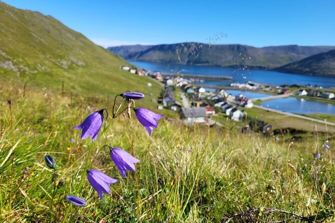 Skarsvåg Fishing Village Walk with a Local
