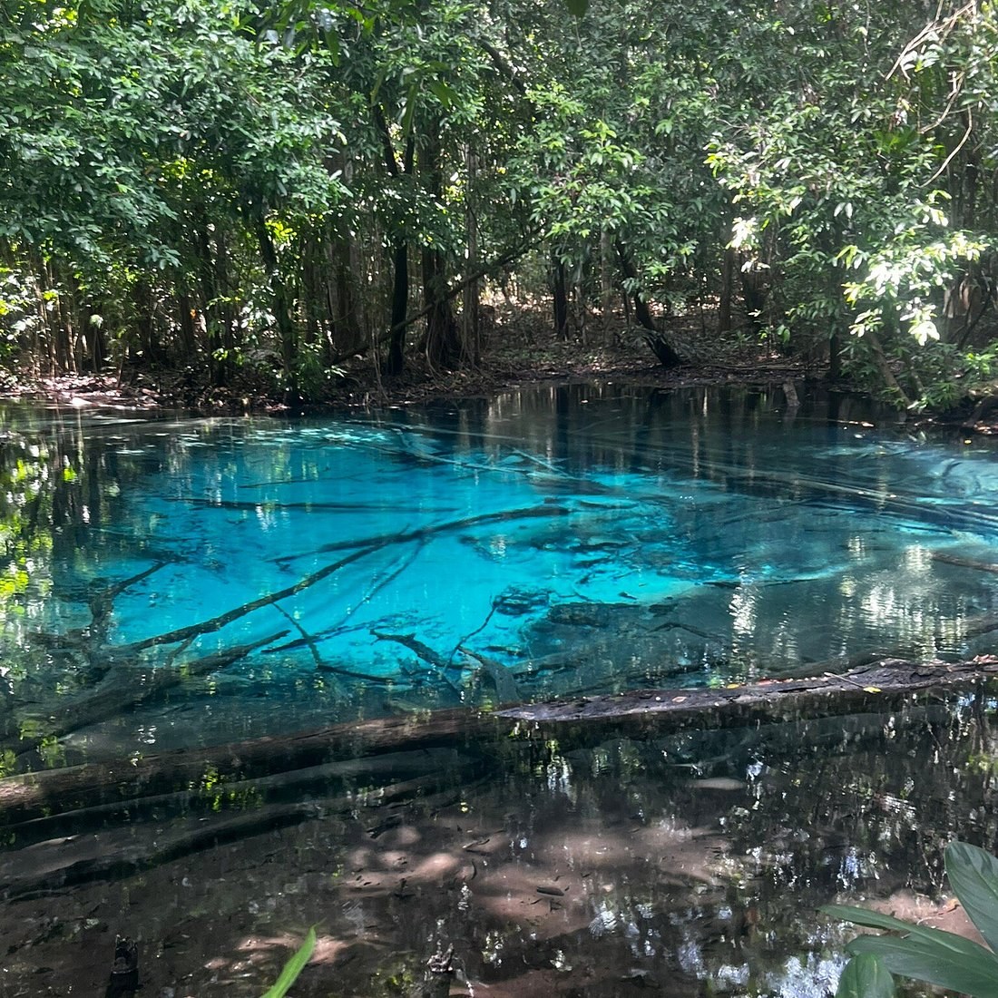 Emerald Pool and Blue Pool, Timed Before the Tour Buses