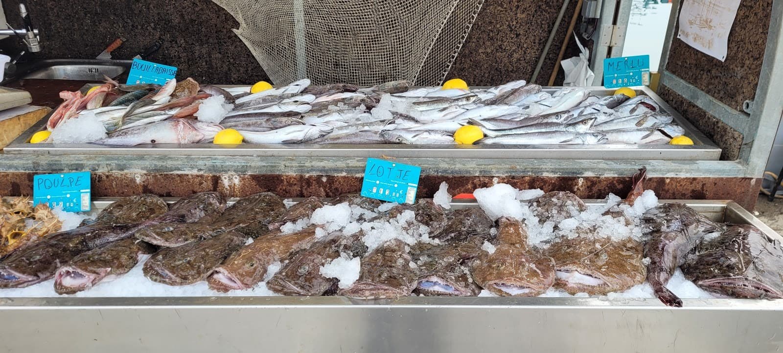 Port-Vendres Fish Auction and Market Morning