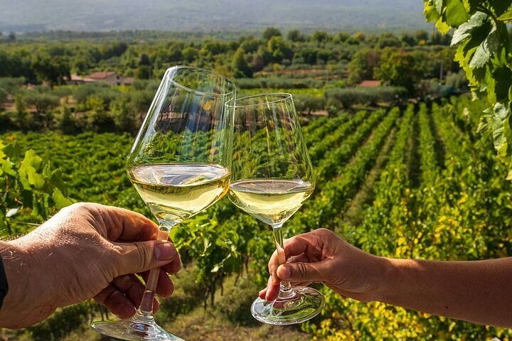 Nemea Valley: A Private Winery Lunch Among Vineyards and Ruins