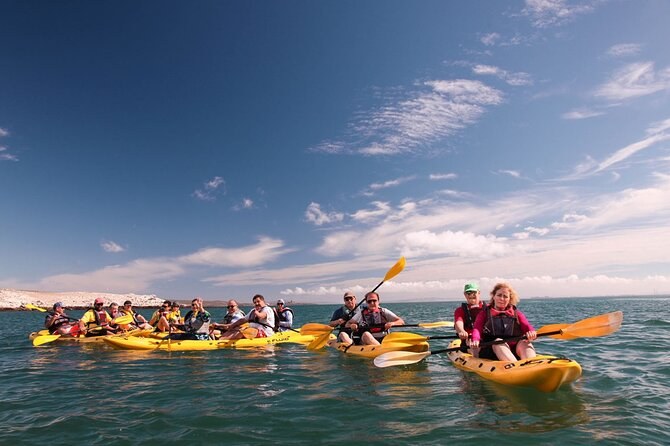 Lagoon Island Kayak Paddle