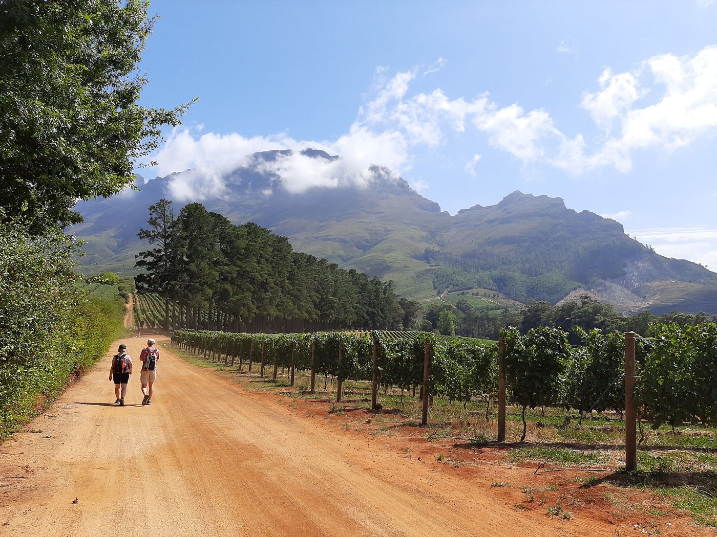 Private Half-Day Route 27 Farm & Wine Tasting