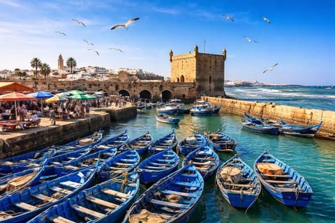 Essaouira Day Trip: Morocco's Windswept Port City
