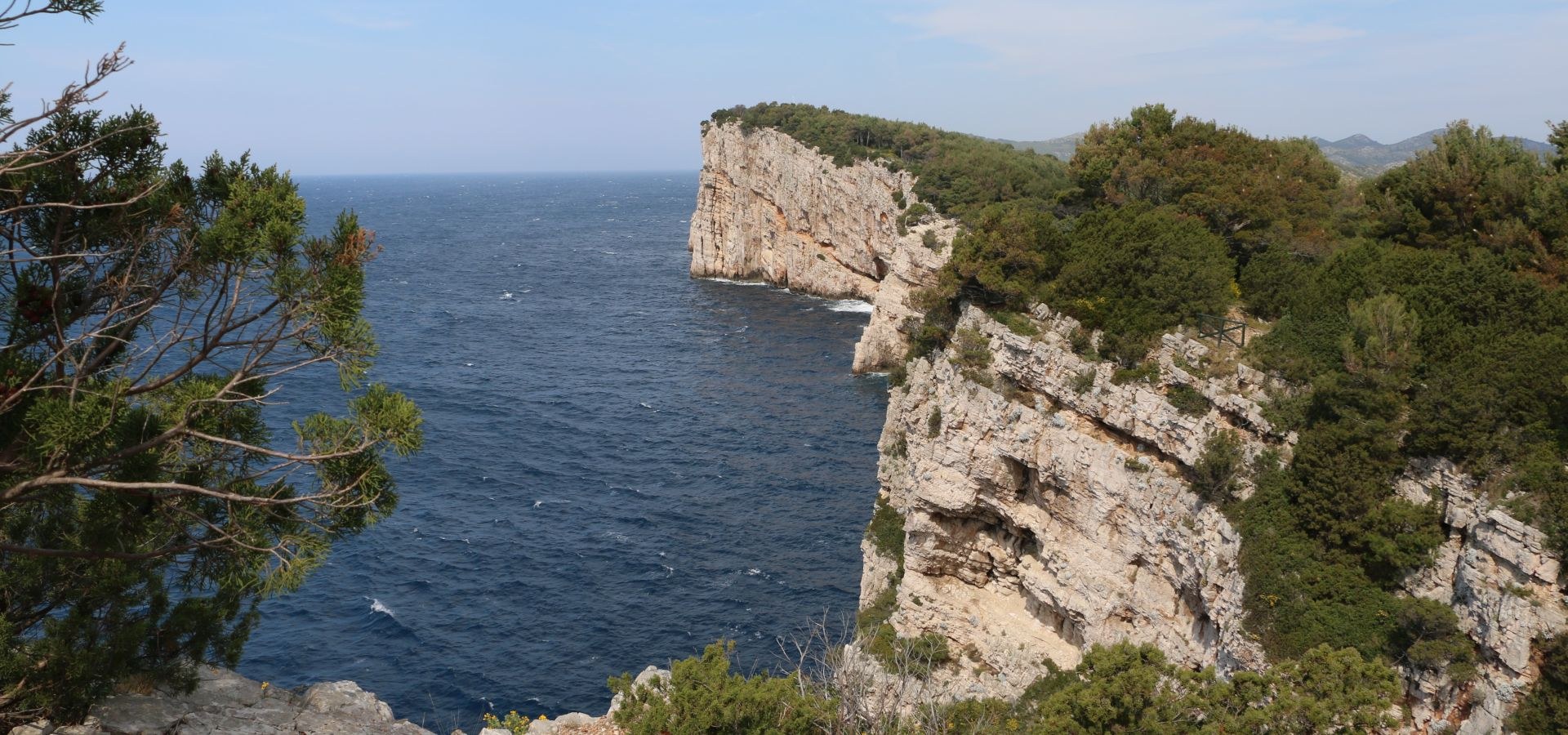 Dugi Otok Donkey Sanctuary & Olive Grove Walk