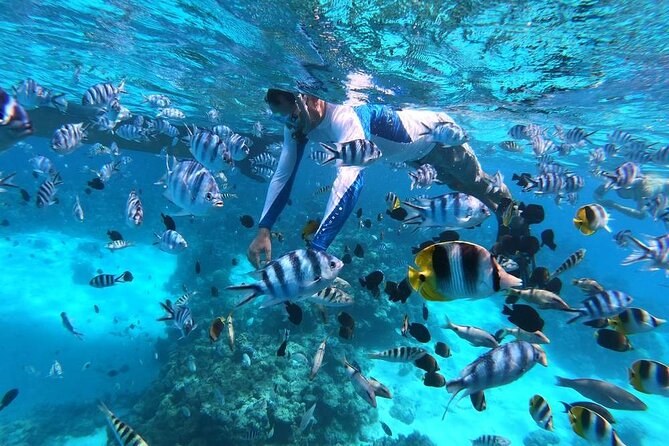 Tahaa Coral Garden Snorkel by Private Outrigger