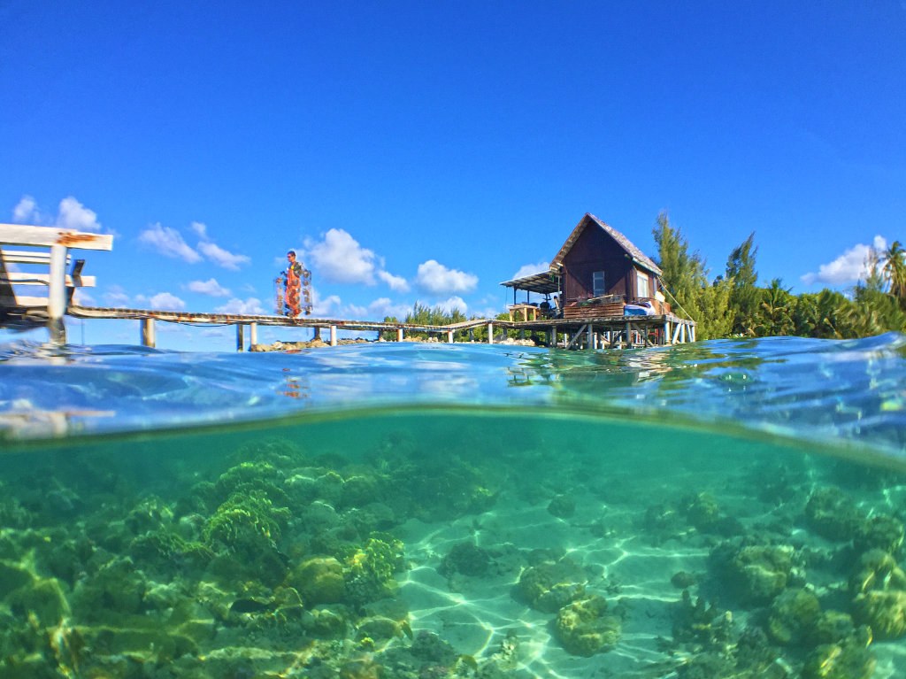 Pearl Farm Visit & Harvest with a Tahaa Pearl Farmer