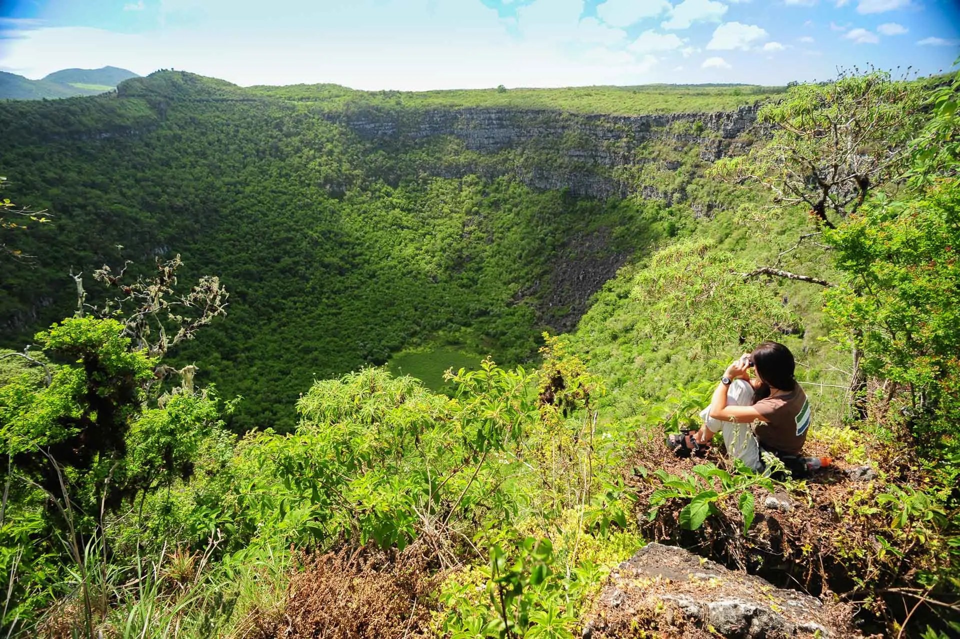Los Gemelos & Highlands Ecosystem Walk (Private, Half-Day)