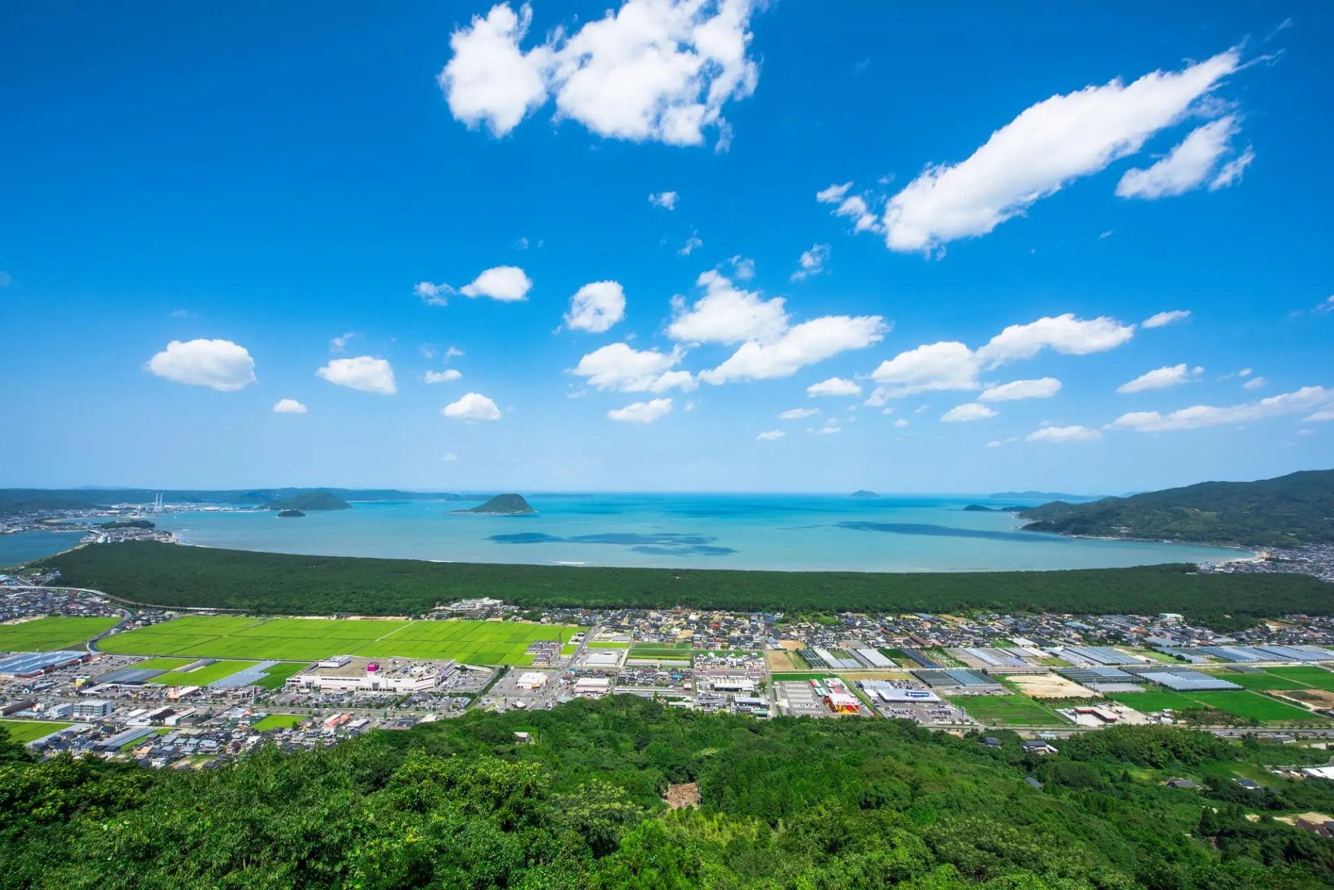Niji-no-Matsubara Pine Forest: A Living National Treasure