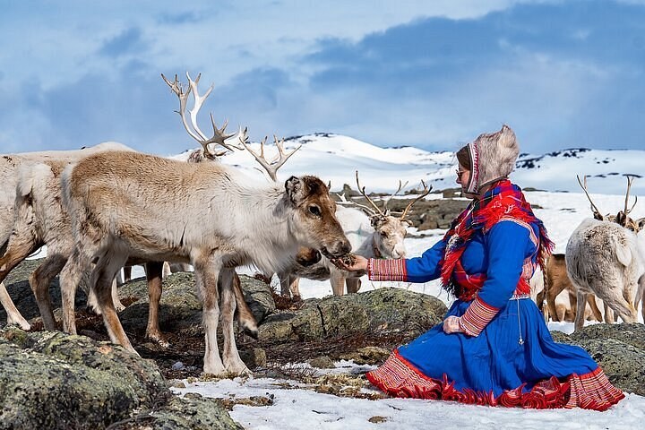 Sami Reindeer Herder Visit & Lavvo Lunch