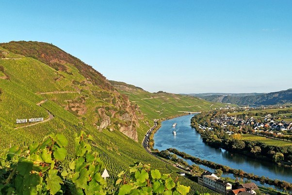 Rhine Riesling Tasting with a Winegrowing Family