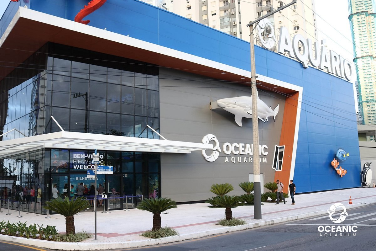 Oceanic Aquarium BC: Private After-Hours Dive-Encounter Tour