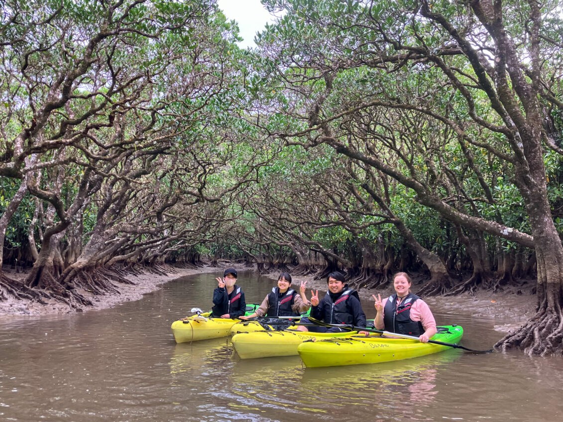 Amami Oshima Park: Kayak the Mangrove Primeval Forest