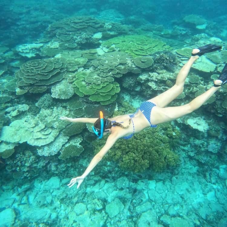 Kakeroma Island Coral Snorkel & Private Boat Charter